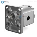 GALTECH齿轮泵1SP-A-063-D-EUR-B-N-10-0-G