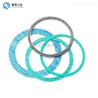 FISHER密封圈RGASKETX062 弹簧减震器