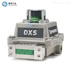 TOPWORX阀门控制器DXS-L21BNEB0000B
