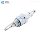 MAXON点火棒18075